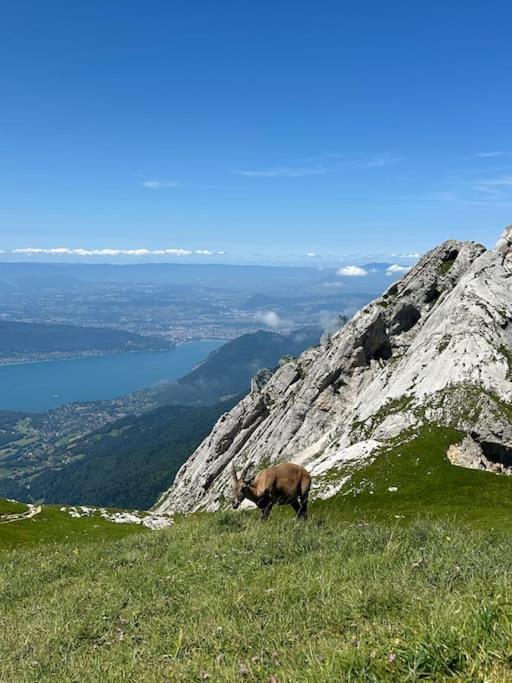 Appartement Cocon A La Campagne,Proche Annecy à Alby-sur-Chéran Extérieur photo