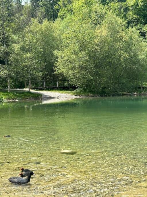 Appartement Cocon A La Campagne,Proche Annecy à Alby-sur-Chéran Extérieur photo